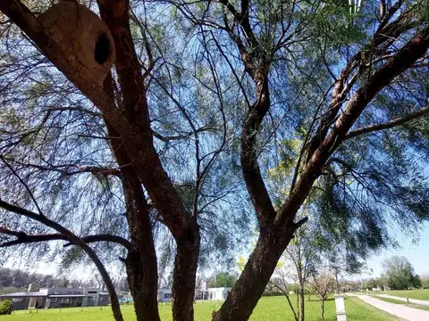 LOTE EN VENTA Bº SANTA INES COMARCAS DE LUJAN