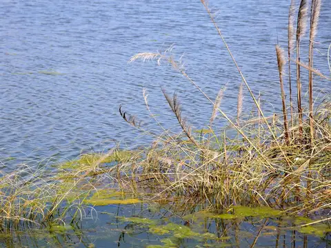 Terreno en Venta de 2000,0 m2