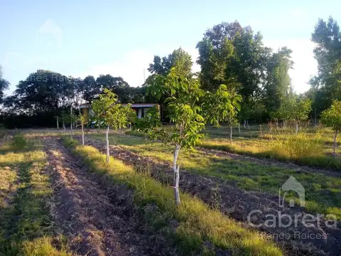 Venta de campo en San Rafael, Mendoza