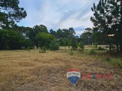 Lote Venta Pinamar Barrio Bosques Norte Planos Mar
