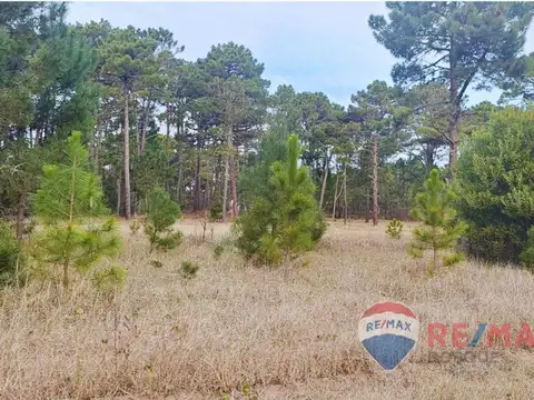 Terreno en Venta en Pinamar Norte, USD 125.000