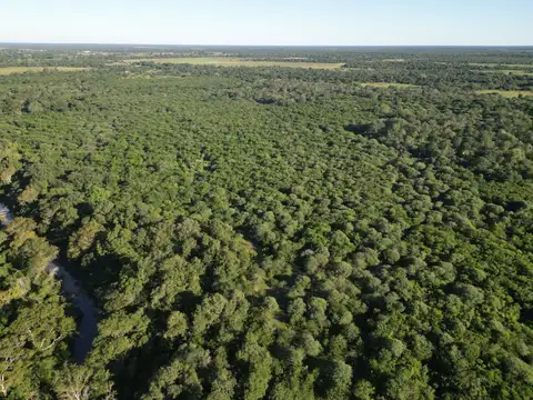 Campo en venta de 51 has. ubicado en La Verde