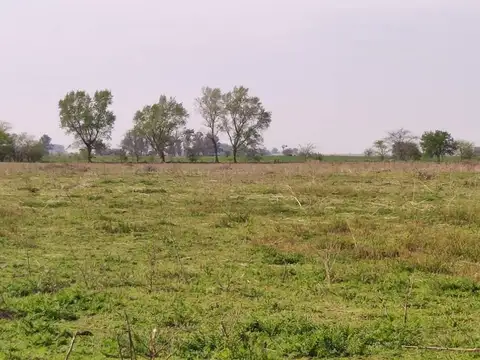 O' BRIEN BRAGADO BUENOS AIRES