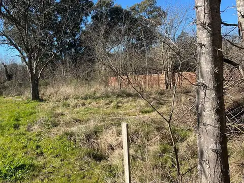 Terreno en Venta 60  mts Fondo
