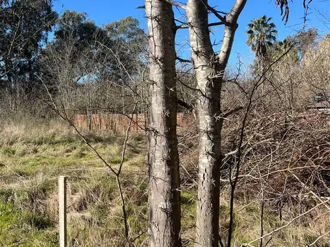 Terreno en Venta de 1200,0 m2