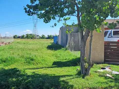 Rigoberta Menchú 101