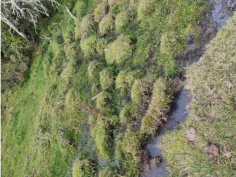 Chacra en venta en Sierra de Carapé, Uruguay