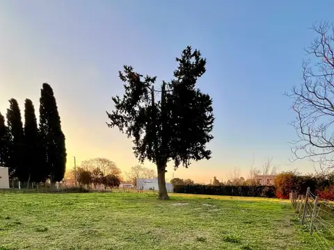 Terreno en Venta 41  mts Fondo