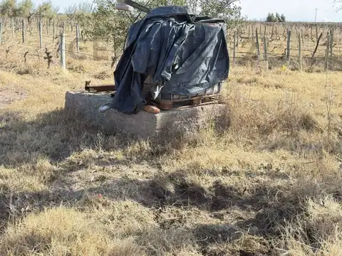 Venta de finca. Costa de Araujo. Lavalle.