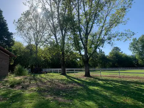 Campo 9,5 ha - Centro Ecuestre - Manzanares Pilar