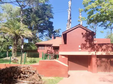 Alameda 206 300