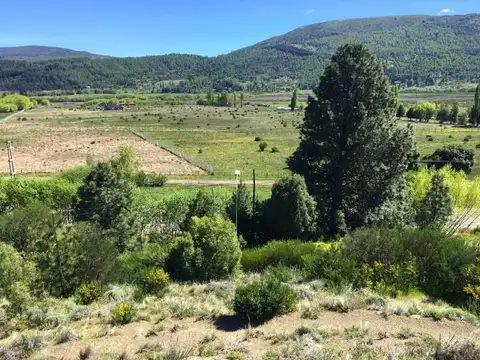 Venta 2 lotes para unificar total 2600 m2 COMERCIAL - RUTA 40 - San Martin de los Andes