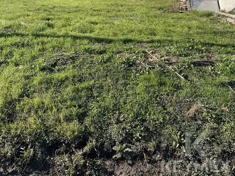 Terreno en Venta 12  mts Frente