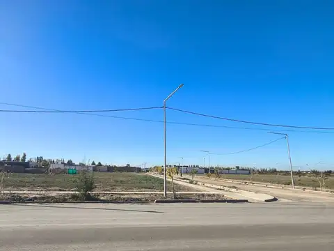 Pacífico Titarelli s/n