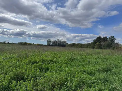 ALQUILER CAMPO – 10 HECTÁREAS CON PASTURA | SAN ANTONIO DE ARECO KM 108.5 EX RUTA 8