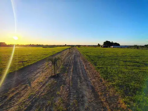 LOTES EN VENTA SOBRE RUTA 12 GOYA CTES