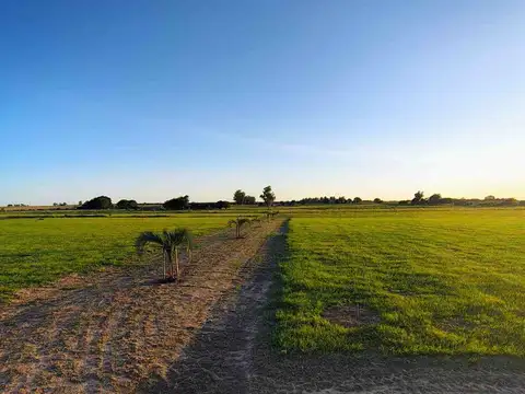 Terreno en Venta de 1000,0 m2