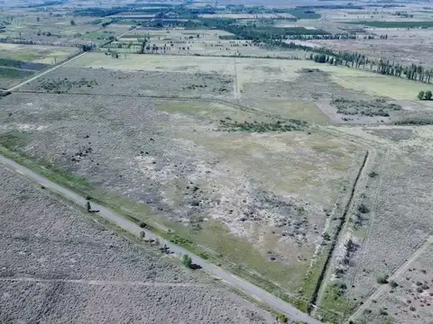 Venta de Finca en San Rafael, Mendoza.