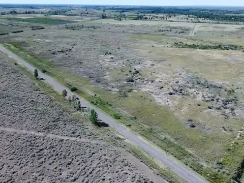 Venta de Finca en San Rafael, Mendoza.