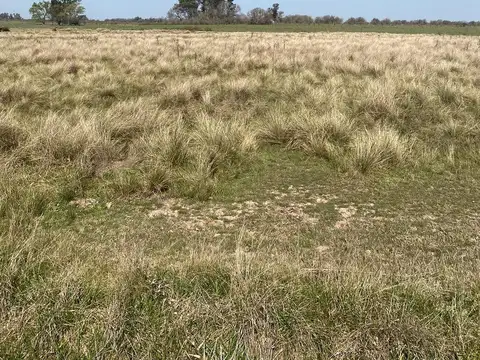 Campo en Venta, 14 Hectáreas, en Zarate, Escalada, G.B.A. Norte