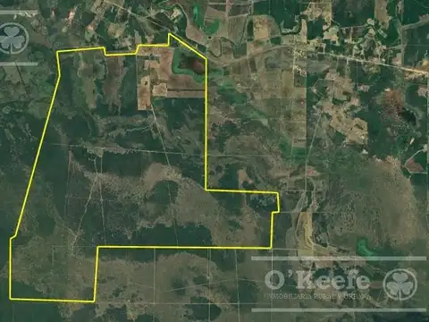 Venta ,excelente Campo Mixto sobre ruta  - 5500 has en Gral Guemes , Formosa.