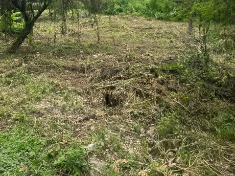 Los Ceibos, La Hoyada