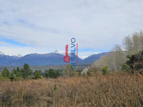 Cerro Saturnino