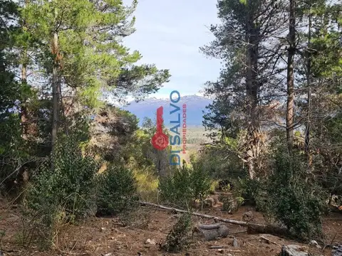 Chacra de 18 hectáreas en Mallin Ahogado El Bolsón