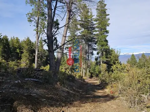 Cerro Saturnino