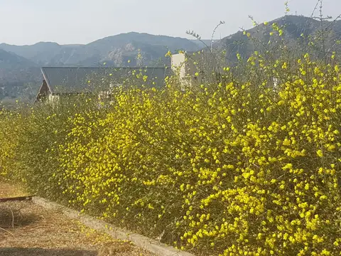 Estanislao del Campo al 900