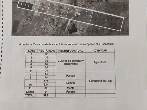 Campo en Nare