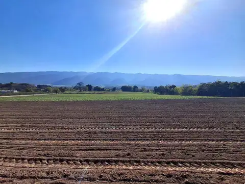 Terreno en venta
