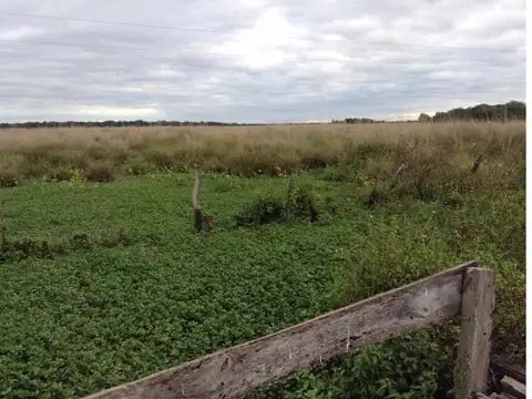 Ruta 11 990 , Piso 3500