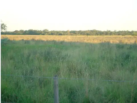 Ruta 11 990 , Piso 3500