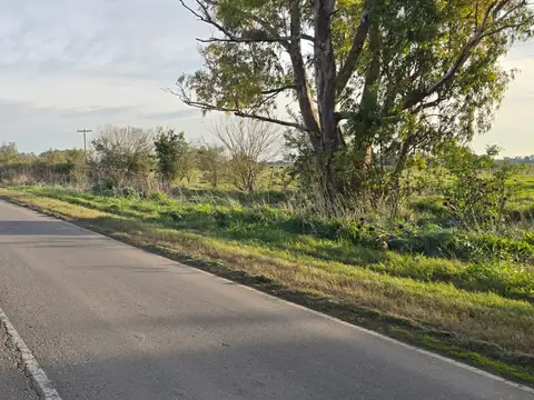 Campo en Venta de 10  ha