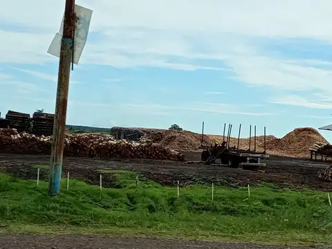 Altinia S.A - 41.000 has - Ituzaingó - Corrientes