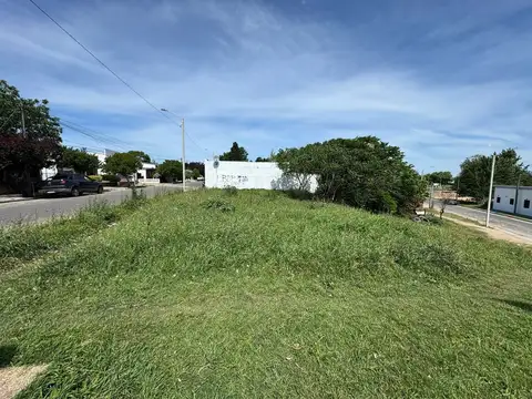 General Manuel Oribe 883
