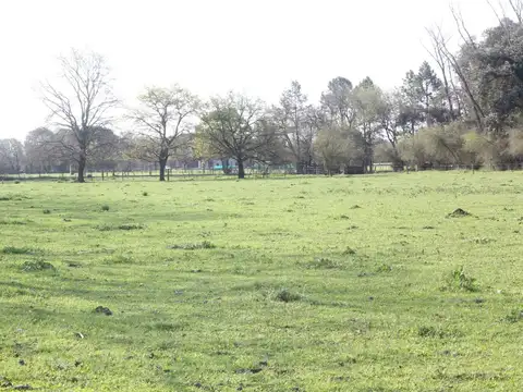 Rio Hondo 1000