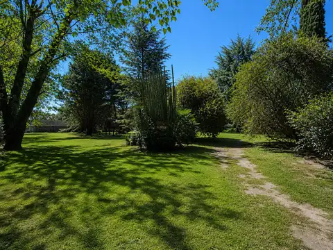 Barrio Los Pinos - Exaltación de la Cruz