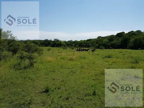 Hectáreas En Venta En Las Sierras Chicas
