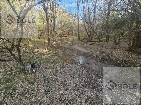 Terreno en Venta de 50000,0 m2
