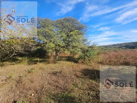 Terreno en Venta de 50000,0 m2