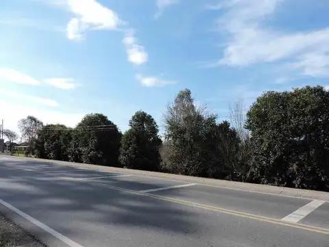 VENTA CAMPO 8 HECTAREAS FALDA DEL CARMEN