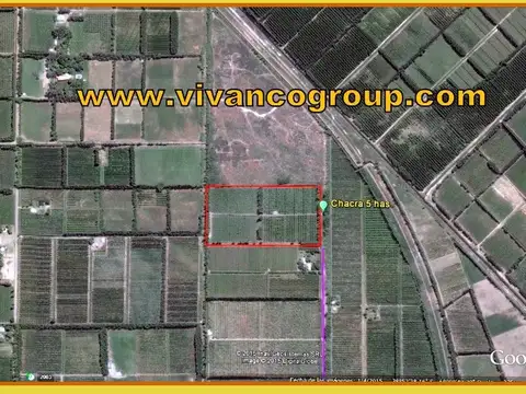 PROVINCIA DE SAN LUIS 4000