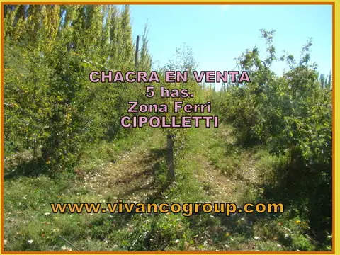 Campo en Venta de 5  ha