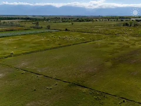 73 Has. Finca inculta en Tunuyan