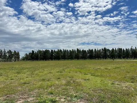 Terreno en Venta 50  mts Fondo