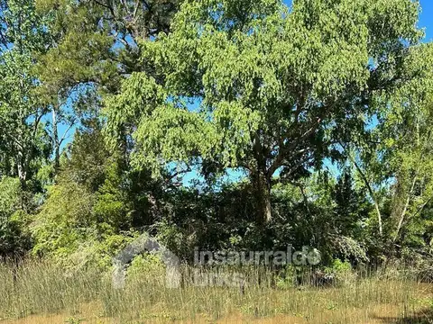 Terreno en Venta de 1035,0 m2
