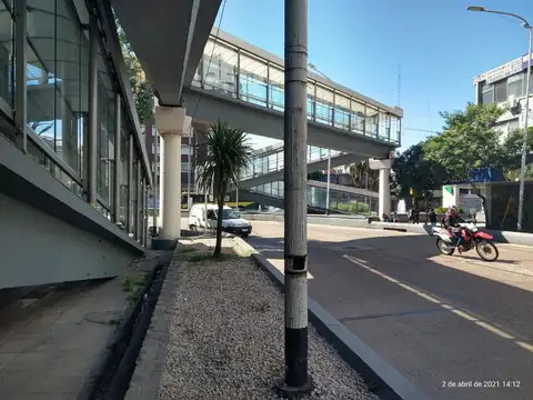 Maipu 33