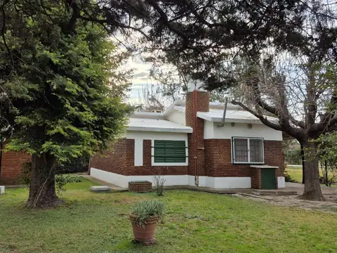 José Ingenieros  5600